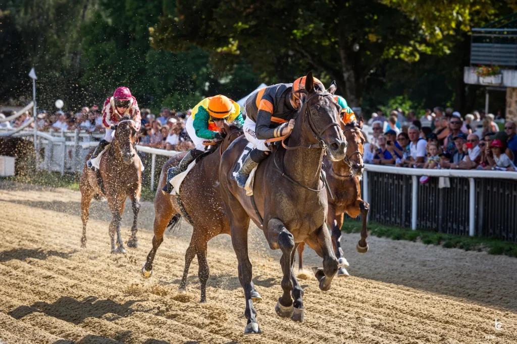 Courses sur l'hippodrome de Pompadour. Corrèze