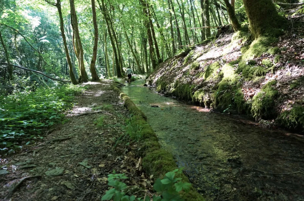 Canal des chartreux - Beyssac