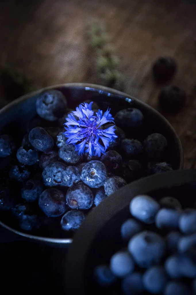 La myrtille, incontournable fruits des Monédières, corrèze