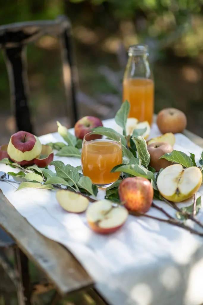 Jus de pommes corrézien - corrèze