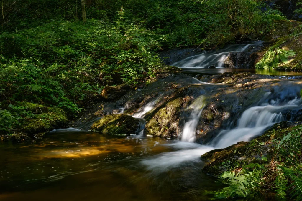 Chamberet : cascades du Chalard