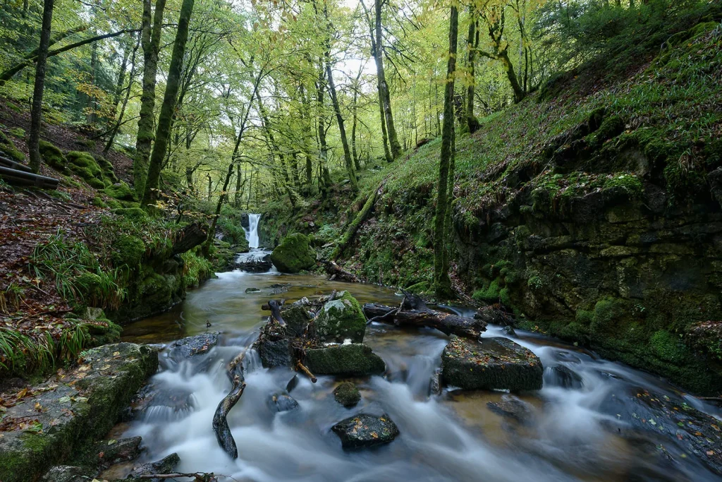 Cascade de La Tine