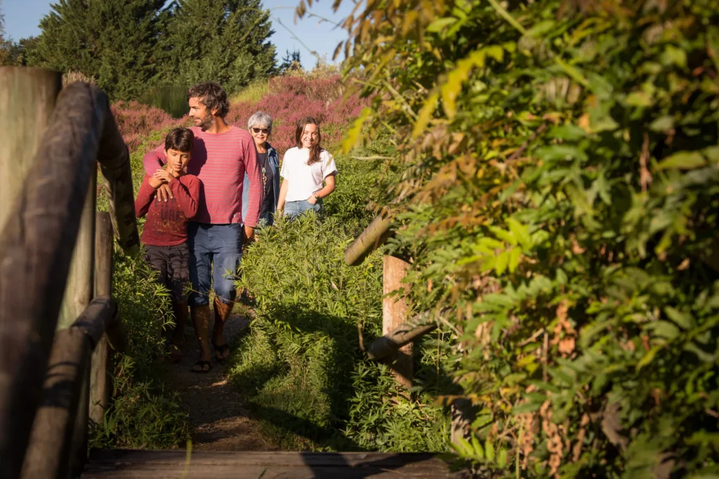 Balade dans l'arboretum de Chamberet