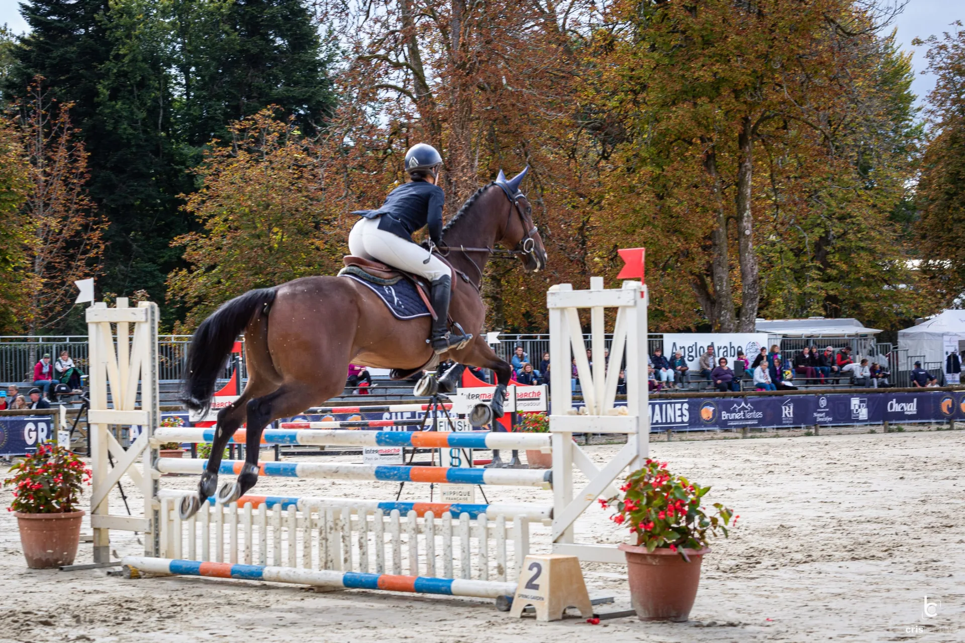 Pompadour - Showjumping competition at the Puy-Marmont equestrian stadium