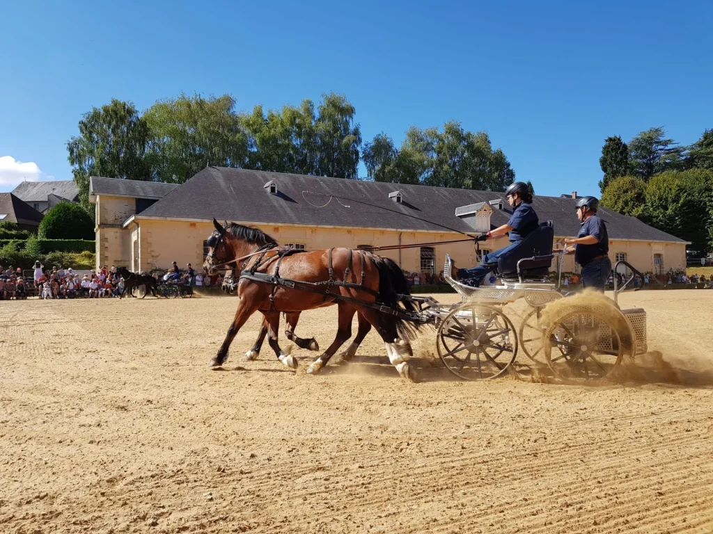 Attelages de chevaux - 15 août - Journée du Cheval - Puy Marmont - Arnac-Pompadour - Haras national de Pompadour - Corrèze