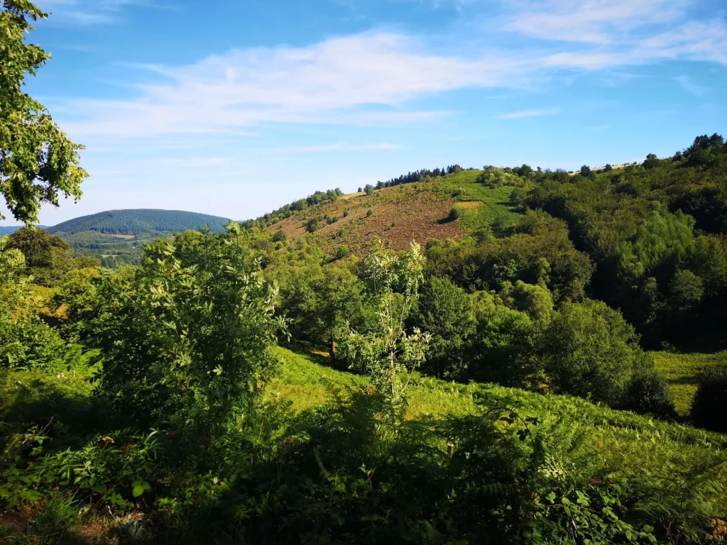 Chamberet : Vue du Mont Ceix