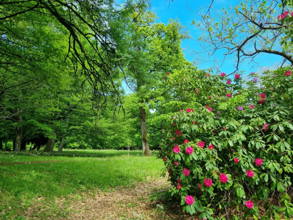 Parc du château du Verdier à Lubersac