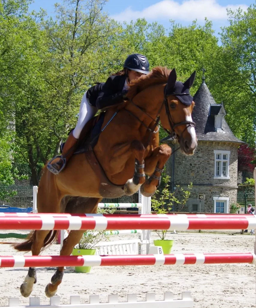 Concours de saut d'obstacles sur le stade équestre - Pompadour