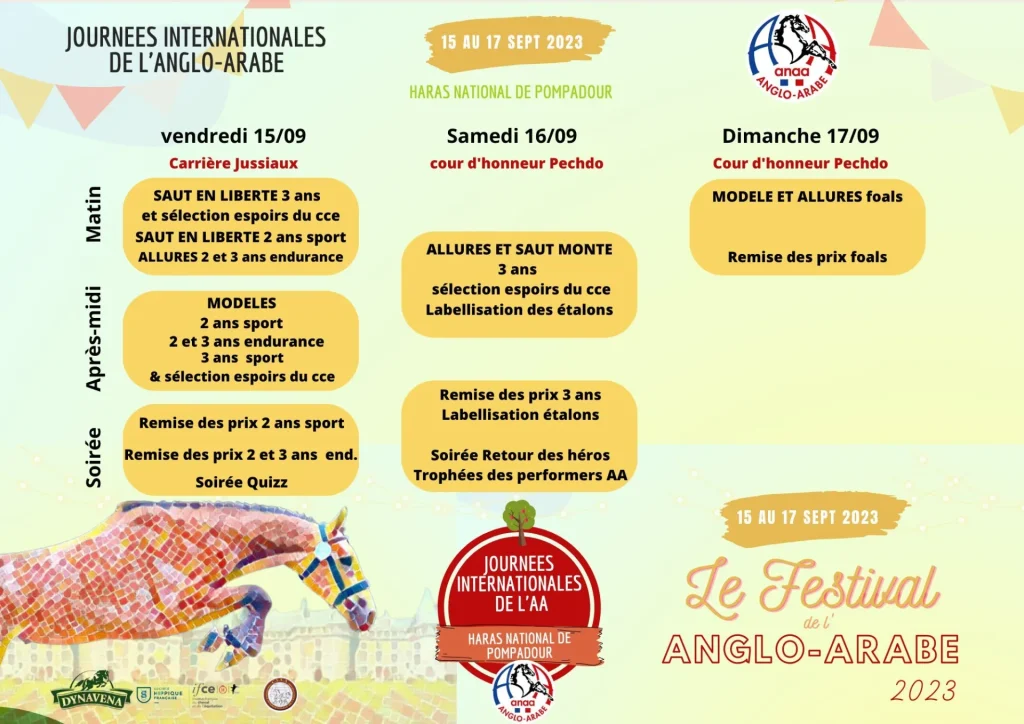 International days of Anglo-Arabic programme