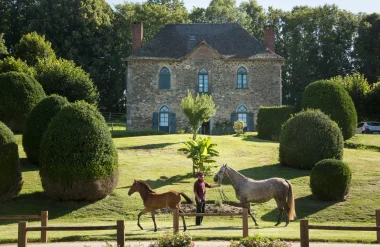 Visite de la Jumenterie du Haras National de Pompadour