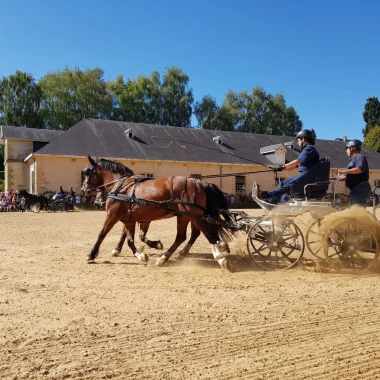 Journée du cheval à Pompadour