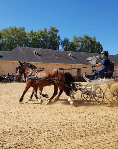 Journée du cheval à Pompadour