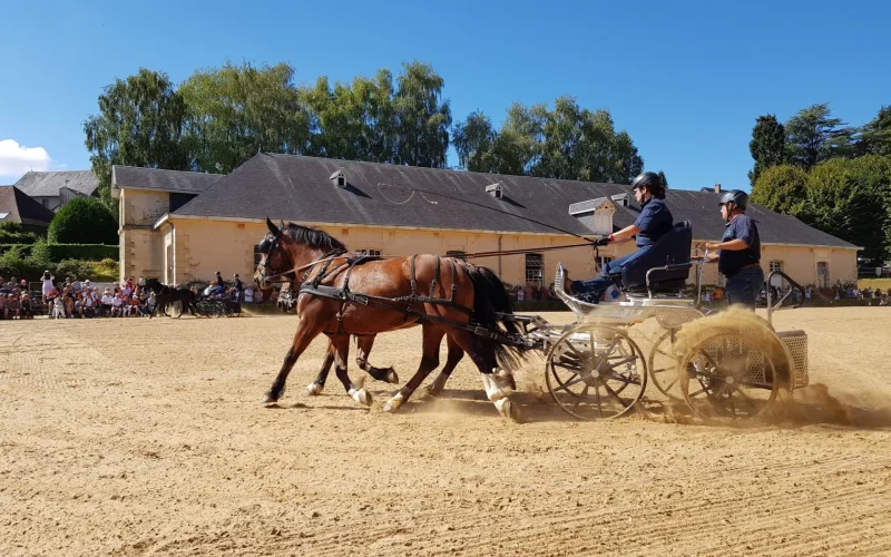 Journée du cheval à Pompadour
