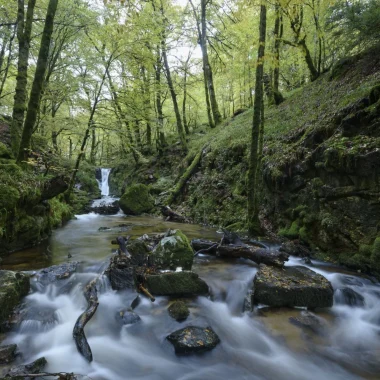 Cascades
