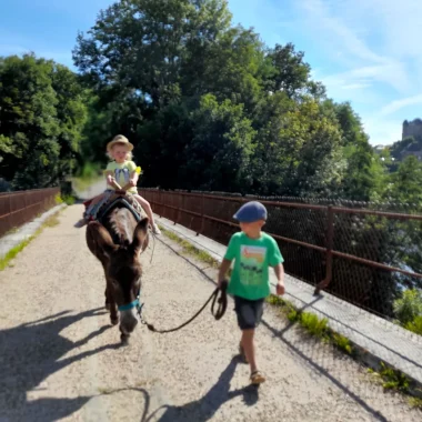 Balade avec des ânes - Uzerche - Corrèze