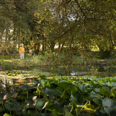 Arboretum Chamberet - Corrèze