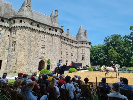 Animation équestre, rencontre avec un artiste - Pompadour Corrèze