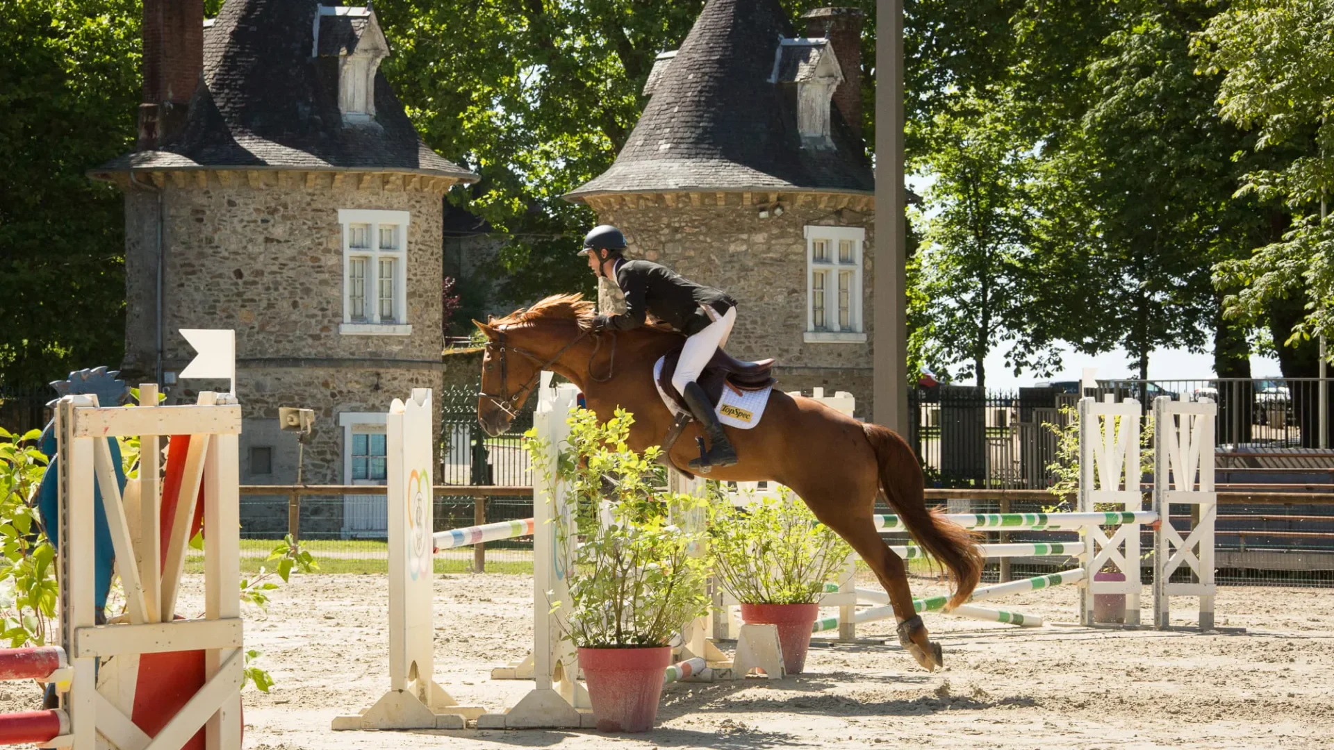 Saut d'obstacles sur le stade équestre