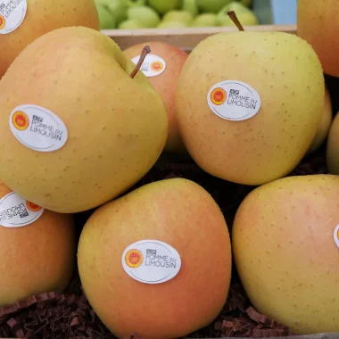 La Pomme du Limousin AOP