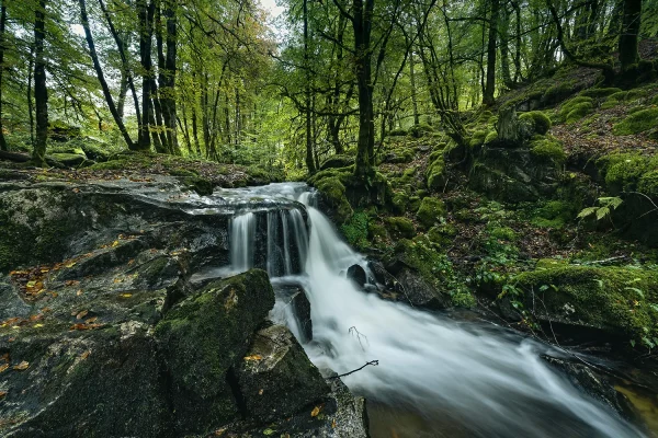 Top 6 des spots fraîcheur en Terres de Corrèze