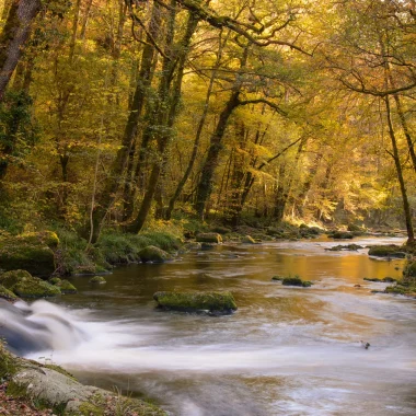 La Vézère et ses gorges
