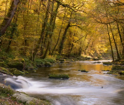 La Vézère et ses gorges