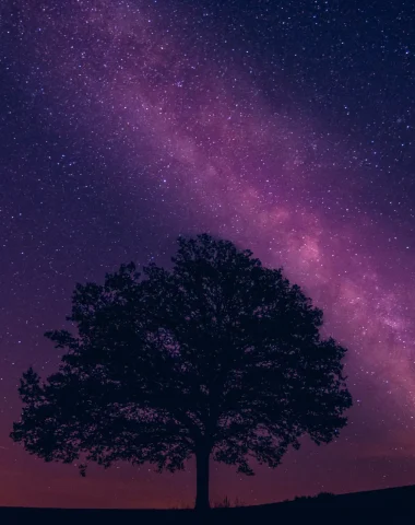 Sous les étoiles des bergers