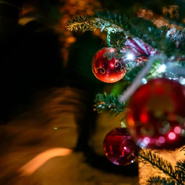 Animations de Noël